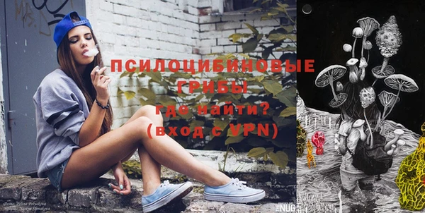 сатива Бородино