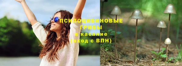 сатива Бородино