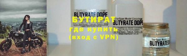 сатива Бородино