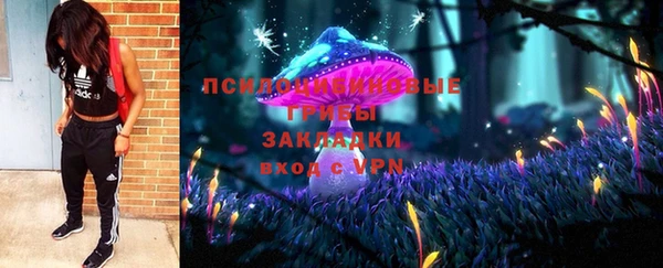 сатива Бородино