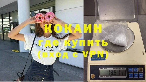 сатива Бородино