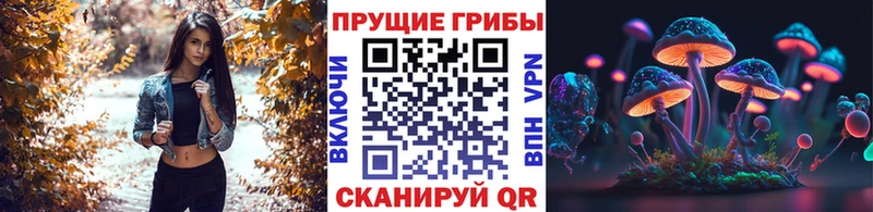 Псилоцибиновые грибы Psilocybine cubensis  Суворов 